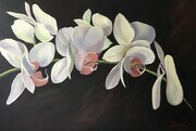 JASON'S ORCHID    acrylic on canvas   SOLD!